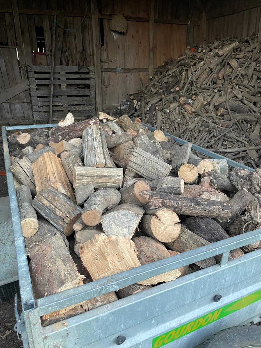 Bûches de bois